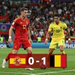 post_img_1783532353_7907